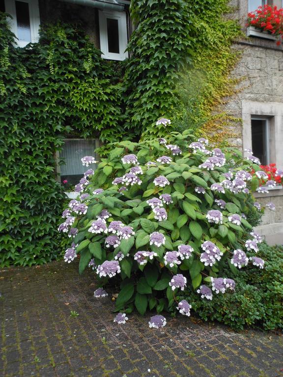 Westfalenhof Garni Willingen  Eksteriør billede