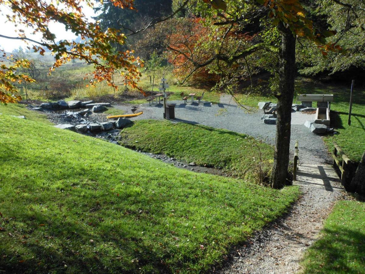 Westfalenhof Garni Willingen  Eksteriør billede